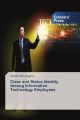 Class and Status Identity Among Information Technology Employees