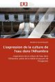 L'expression de la culture de l'eau dans l'Alhambra