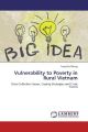 Vulnerability to Poverty in Rural Vietnam