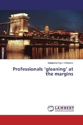 Professionals 'gleaning' at the margins