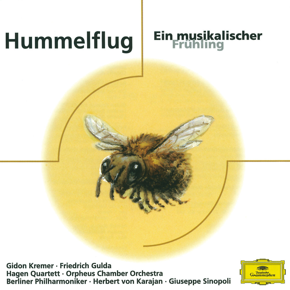 Hummelflug - Ein musikalischer Frühling