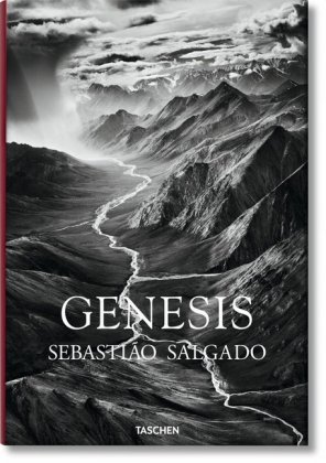 Sebastiao Salgado. Genesis