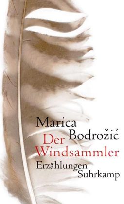 Der Windsammler