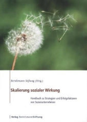 Skalierung sozialer Wirkung