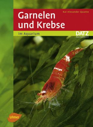 Garnelen und Krebse im Aquarium