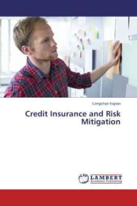 Credit Insurance and Risk Mitigation