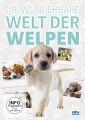 Die wunderbare Welt der Welpen