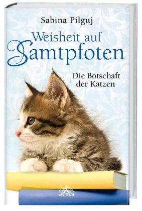 Weisheit auf Samtpfoten