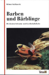 Barben und Bärblinge