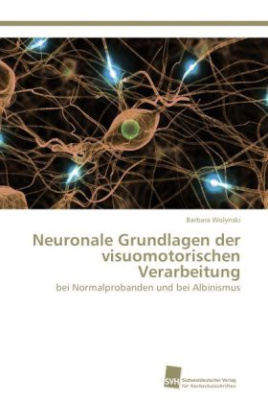 Neuronale Grundlagen der visuomotorischen Verarbeitung