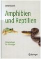 Amphibien und Reptilien