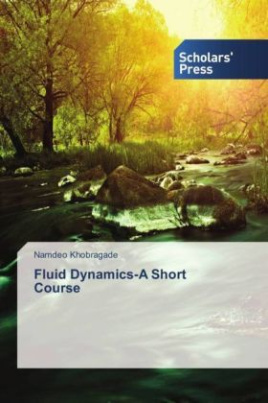 Fluid Dynamics-A Short Course