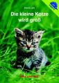 Die kleine Katze wird groß