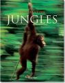 Jungles. Dschungel