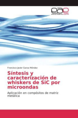 Síntesis y caracterización de whiskers de SiC por microondas