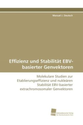 Effizienz und Stabilität EBV-basierter Genvektoren