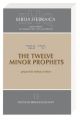 Biblia Hebraica Quinta (BHQ), The Twelve Minor Prophets