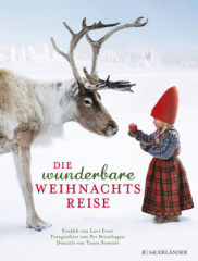 Die wunderbare Weihnachtsreise