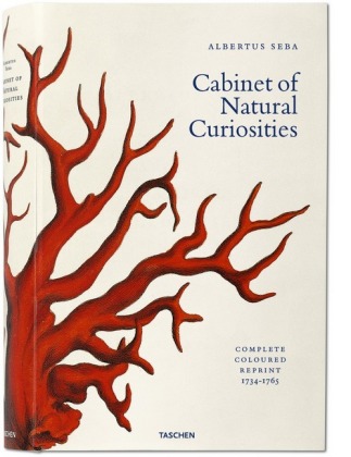 Albertus Seba. Cabinet of Natural Curiosities