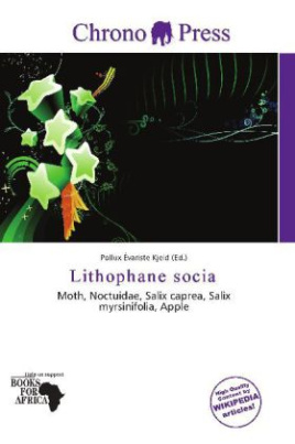 Lithophane socia
