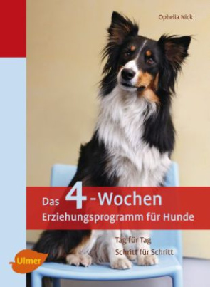 Das 4-Wochen-Erziehungsprogramm für Hunde