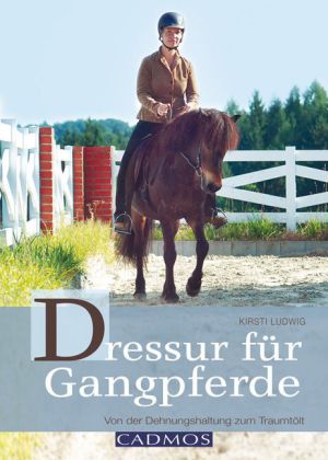 Dressur für Gangpferde