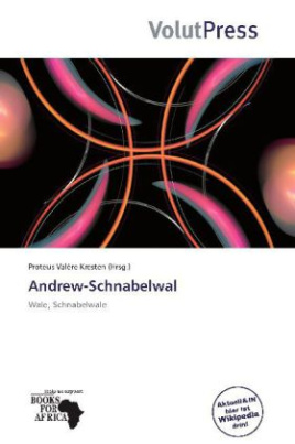 Andrew-Schnabelwal