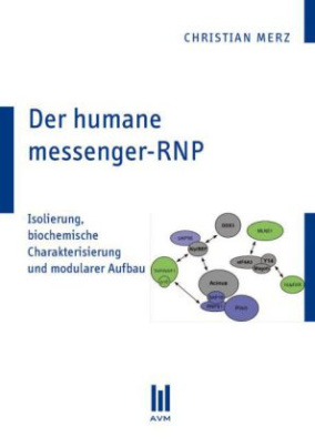 Der humane messenger-RNP