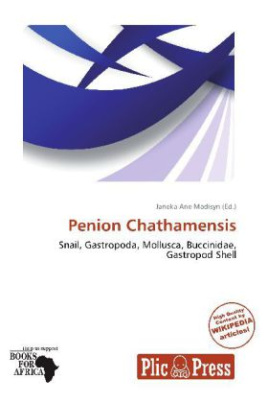 Penion Chathamensis