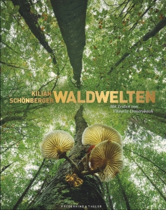 Waldwelten