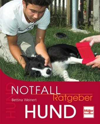 Notfall-Ratgeber Hund