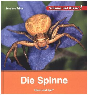 Die Spinne