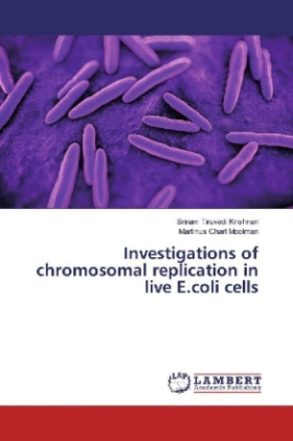 Investigations of chromosomal replication in live E.coli cells