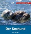 Der Seehund