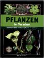 Pflanzen im Terrarium