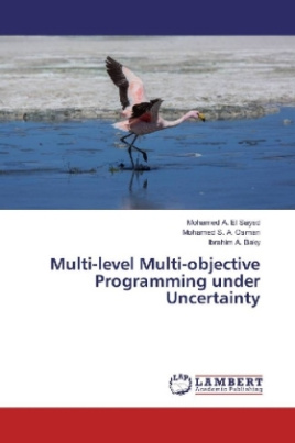 Multi-level Multi-objective Programming under Uncertainty