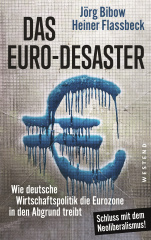 Das Euro-Desaster