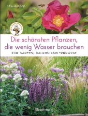 Die schönsten Pflanzen, die wenig Wasser brauchen für Garten, Balkon und Terrasse