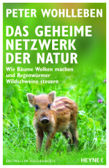 Das geheime Netzwerk der Natur