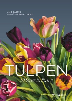 Tulpen