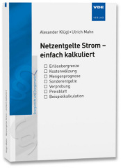 Netzentgelte Strom - einfach kalkuliert