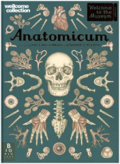 Anatomicum