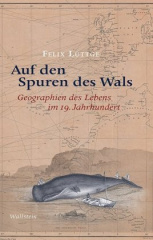 Auf den Spuren des Wals