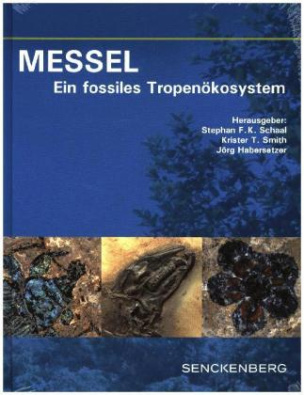 MESSEL - Ein fossiles Tropenökosystem