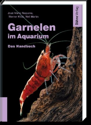 Garnelen im Aquarium