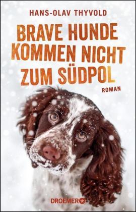 Brave Hunde kommen nicht zum Südpol