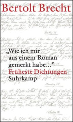 'Wie ich mir aus einem Roman gemerkt habe ...'