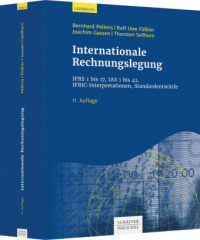 Internationale Rechnungslegung