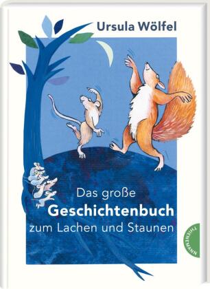 Das große Geschichtenbuch zum Lachen und Staunen