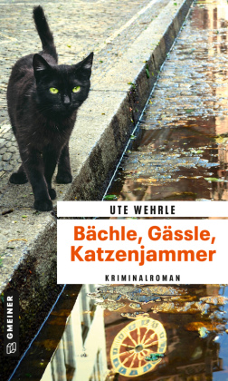 Bächle, Gässle, Katzenjammer